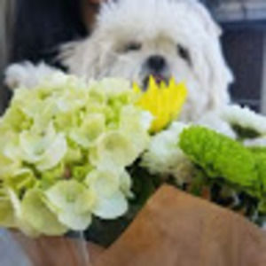 Meet your Posher, Mina